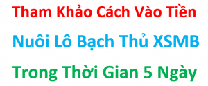 Cách vào tiền nuôi lô tô bạch thủ