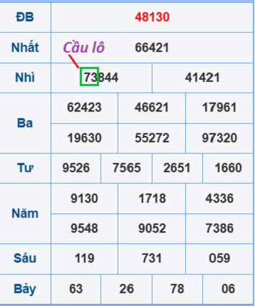 Cầu lô nuôi 2 ngày