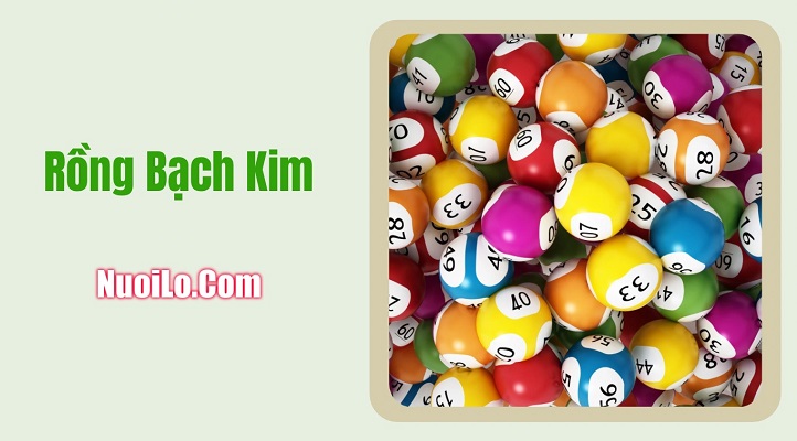 Rồng Bạch Kim