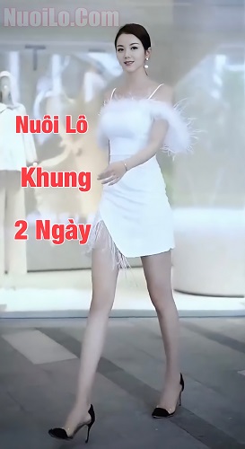 Nuôi lô khung 2 ngày chuẩn xác