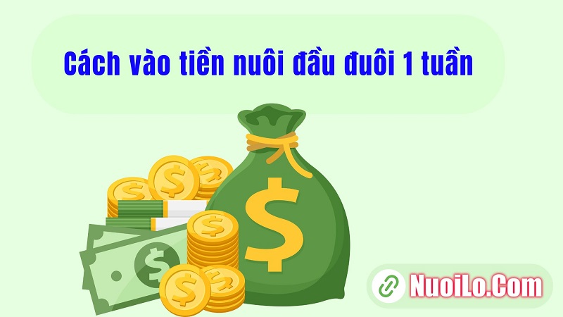 Cách vào tiền nuôi đầu đuôi 1 tuần