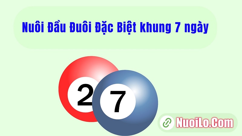 Nuôi đầu đuôi khung 7 ngày