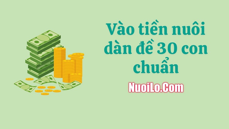 Vào tiền nuôi dàn đề 30 con chuẩn