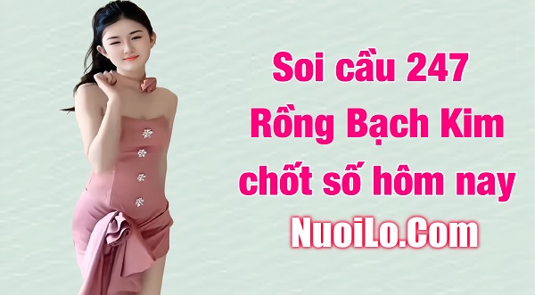 Soi cầu 247 rồng bạch kim