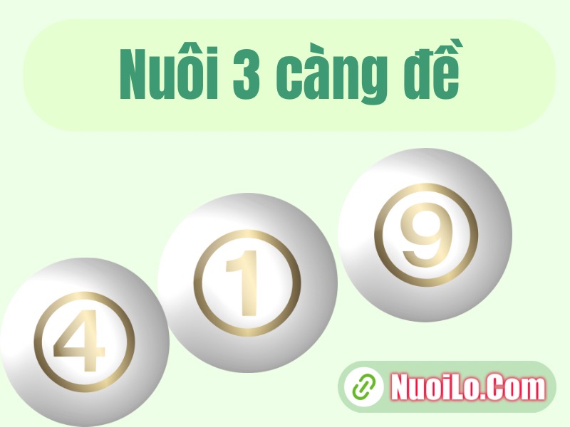 Nuôi 3 càng khung 7 ngày